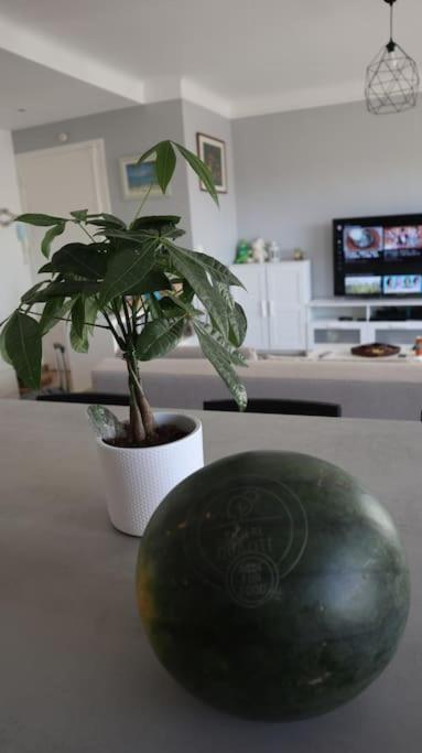 Antibes/juan Les Pins, Cosy Apartment